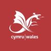 Team Wales